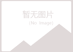 龙川县倾城能源有限公司